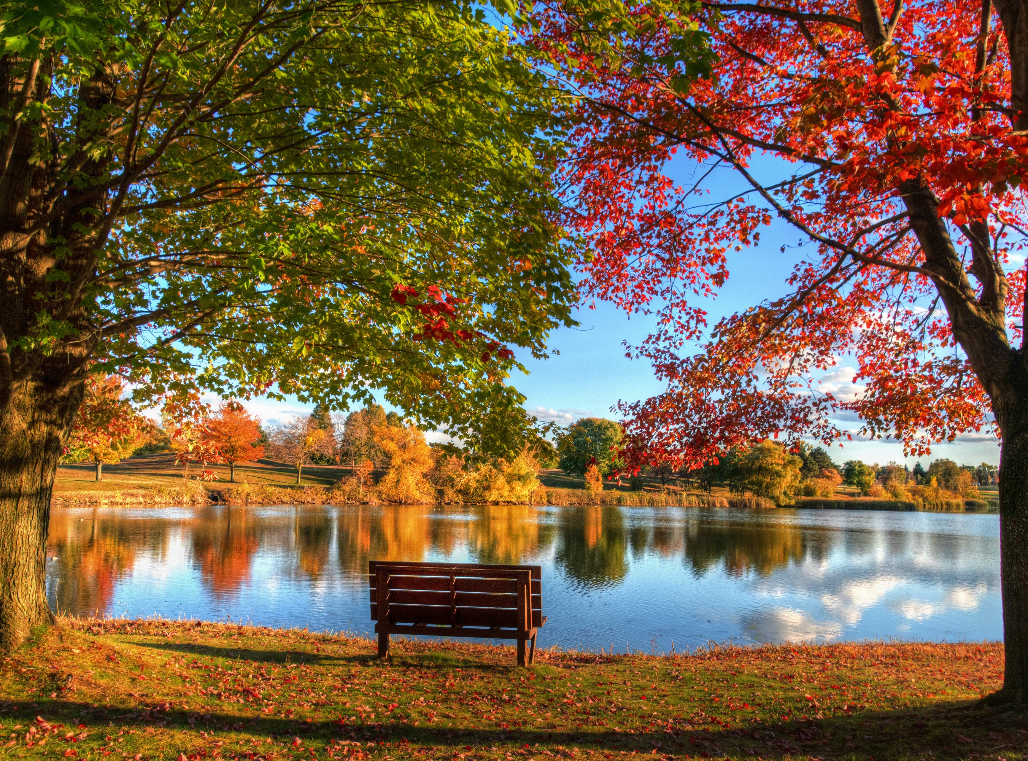 Online Banking Finger Lakes Federal Credit Union