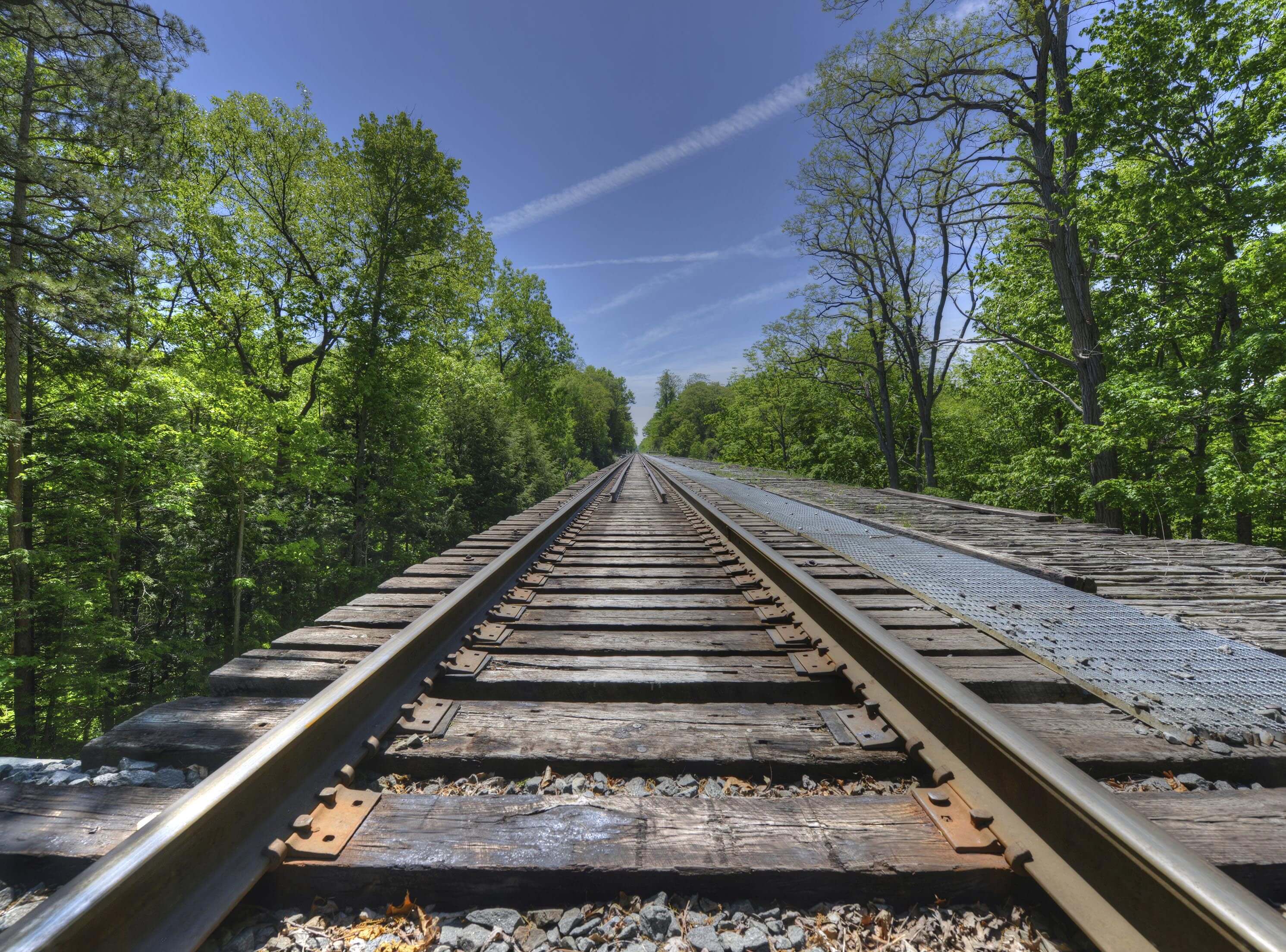 Finger Lakes Federal Credit Union